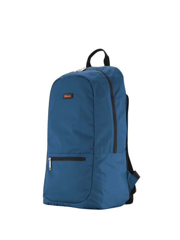 Foldable Backpack